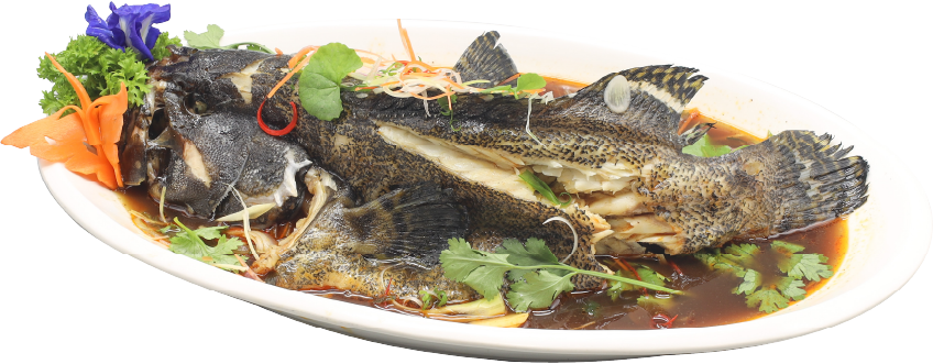 Chinese Steamed Fresh Grouper With Sour Soy Sauce