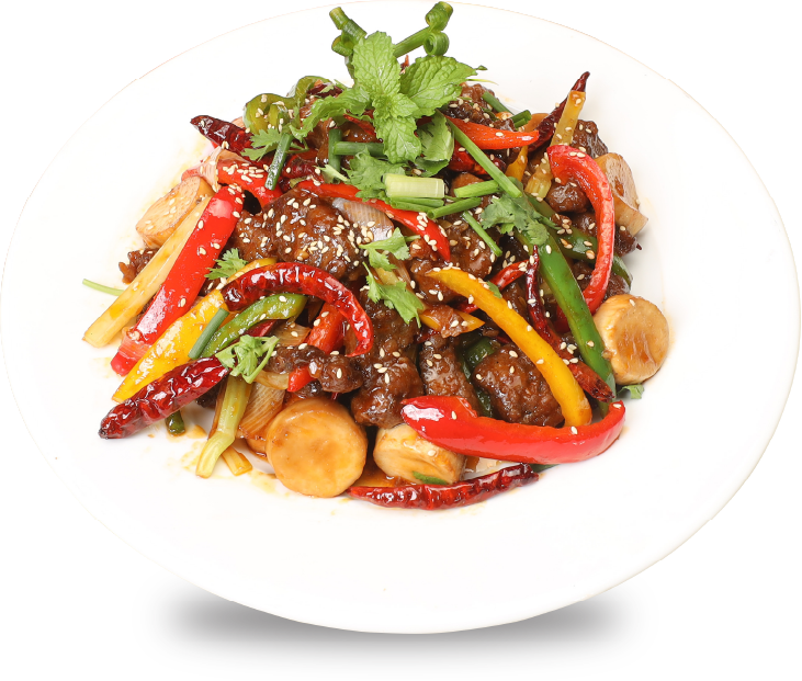 Mongolian Beef