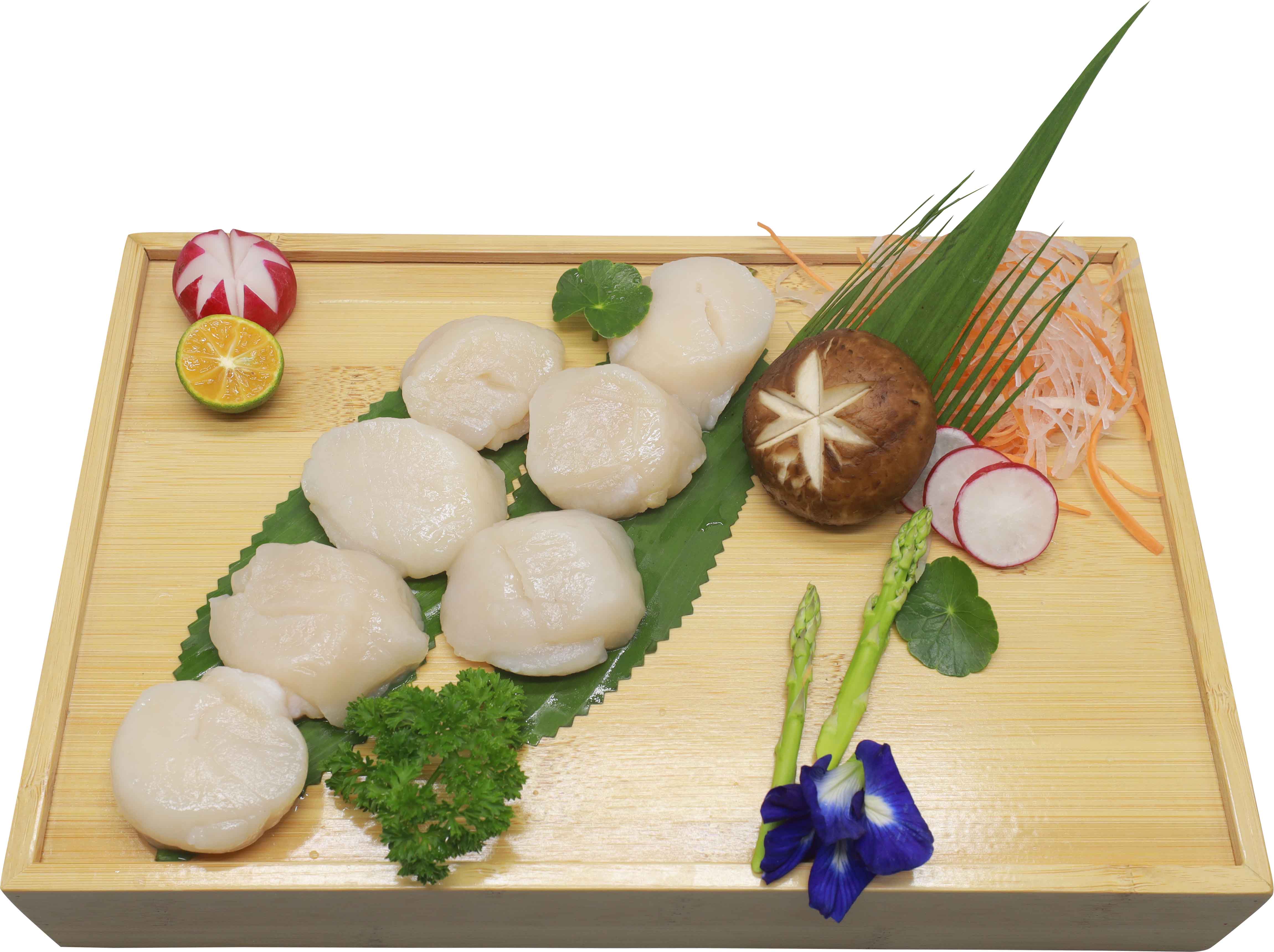 Japanese Sea Scallop